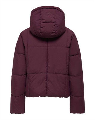 JDYWonder Short Hood Puffer Jakke 